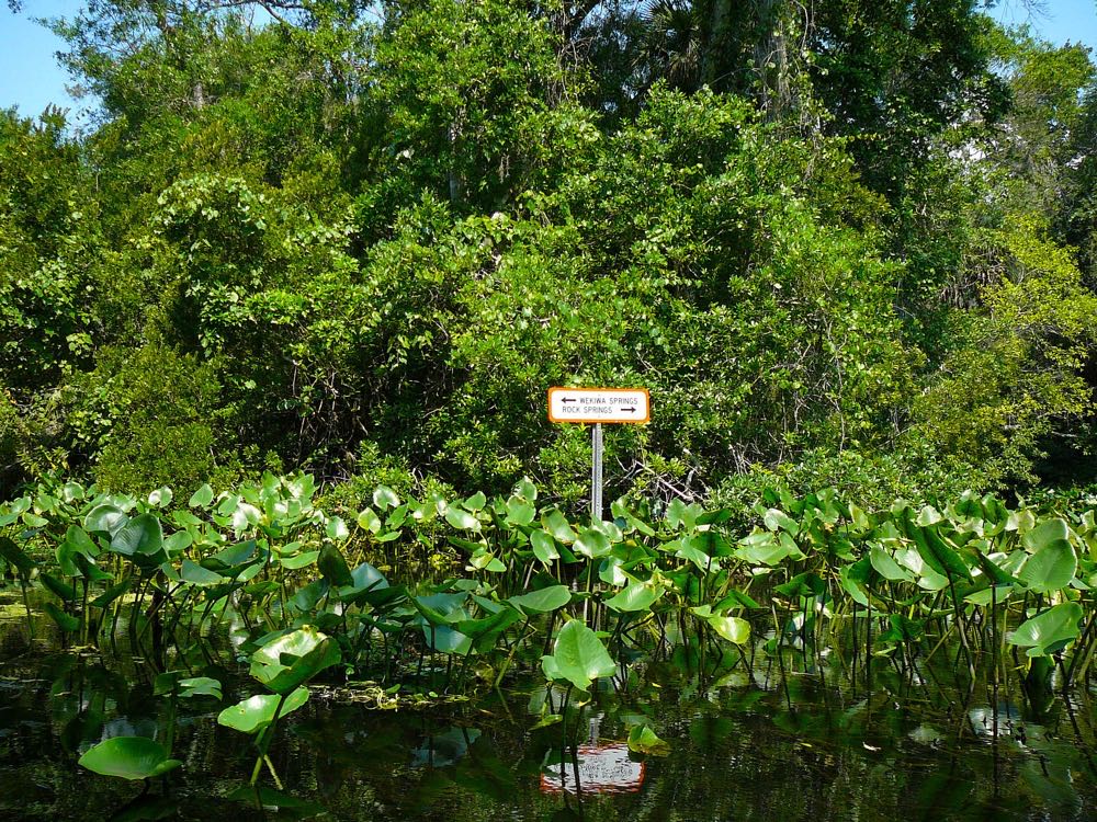 A sign above water plants on the Wekiva River pointing to Wekiwa Springs and Rock Springs