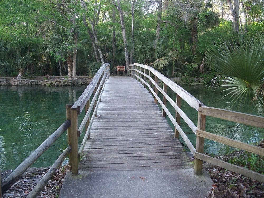 A wooden footbridge crossing the water among palms at Wekiwa Springs State Park