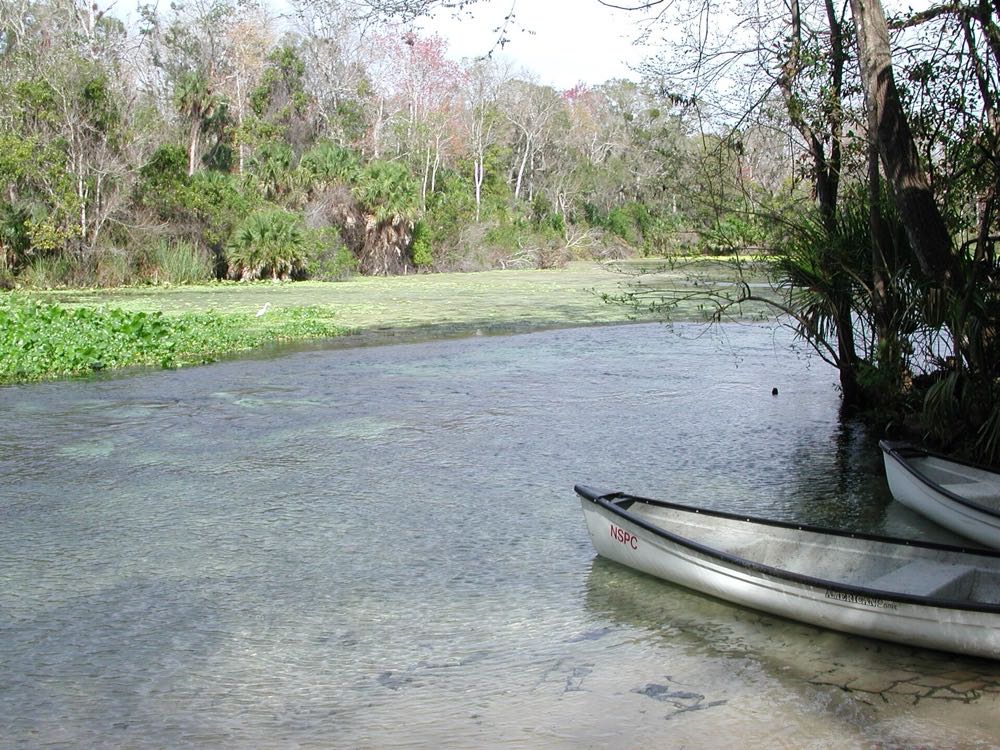 Two canoes at the canoe launch on the clear Wekiwa spring run, with a white wading bird among the water plants