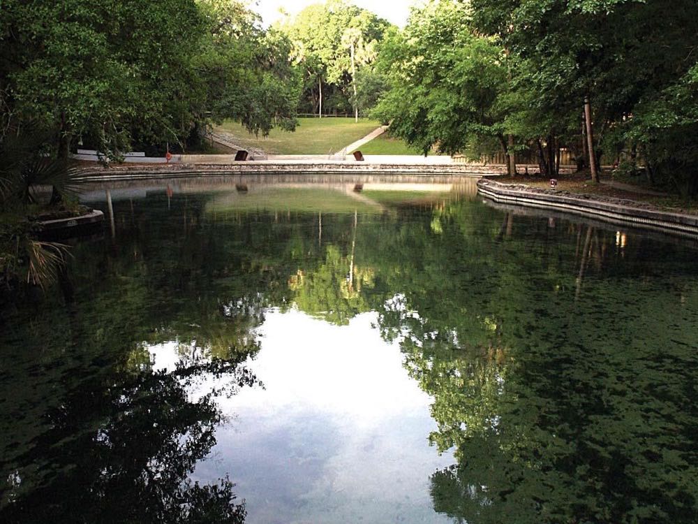 The spring pool at Wekiwa Springs, with trees reflected in the still water and a grassy slope beyond